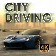 城市驾驶2020(City Driving 2020 - Beta)
