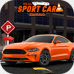 Real Sports 3d Car Parking Perfect