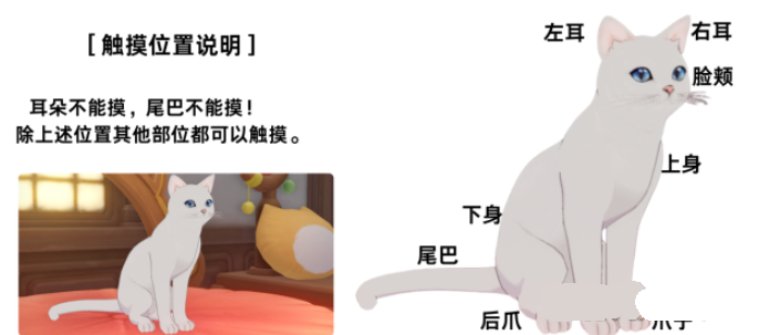 原神奇妙猫猫的森严城堡攻略分享(图6) 原神奇妙猫猫的森严城堡攻略分享(图6)
